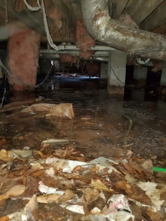 Crawl space flood assessment for Leak Detection & Repair in Gastonia